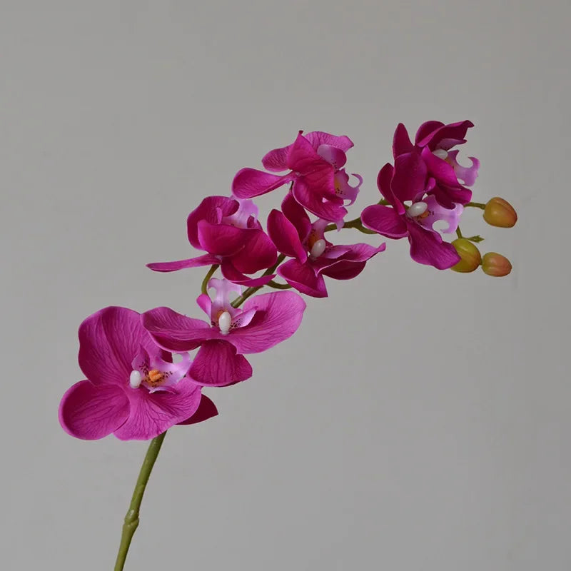 Orquídeas de látex artificial Phalaenopsis, decoração floral, ornamentos de borboleta realistas, guia de casamento, 6 pcs