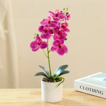 Criativo Oito Cabeças Filme Phalaenopsis Simulação Bonsai, Flor Falsa, Flor Artificial, Decoração De Casa E Escritório