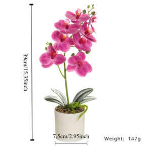 Criativo Oito Cabeças Filme Phalaenopsis Simulação Bonsai, Flor Falsa, Flor Artificial, Decoração De Casa E Escritório