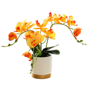 Orquídea Borboleta Flores Artificiais, Orquídea Bonsai, Phalaenopsis Flower Pot, Plantas Falsas, Arranjos De Decoração De Casamento Em Casa, 1Pc