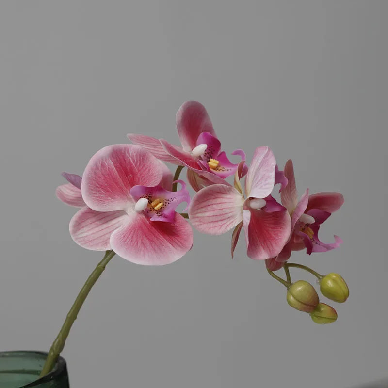 Orquídeas de látex artificial Phalaenopsis, decoração floral, ornamentos de borboleta realistas, guia de casamento, 6 pcs