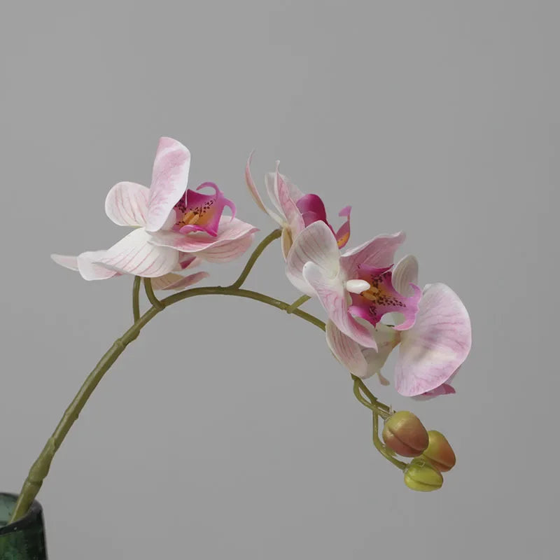 Orquídeas de látex artificial Phalaenopsis, decoração floral, ornamentos de borboleta realistas, guia de casamento, 6 pcs