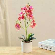 Criativo Oito Cabeças Filme Phalaenopsis Simulação Bonsai, Flor Falsa, Flor Artificial, Decoração De Casa E Escritório