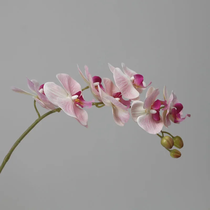 Orquídeas de látex artificial Phalaenopsis, decoração floral, ornamentos de borboleta realistas, guia de casamento, 6 pcs