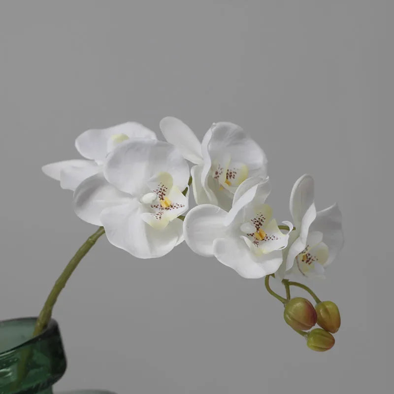 Orquídeas de látex artificial Phalaenopsis, decoração floral, ornamentos de borboleta realistas, guia de casamento, 6 pcs