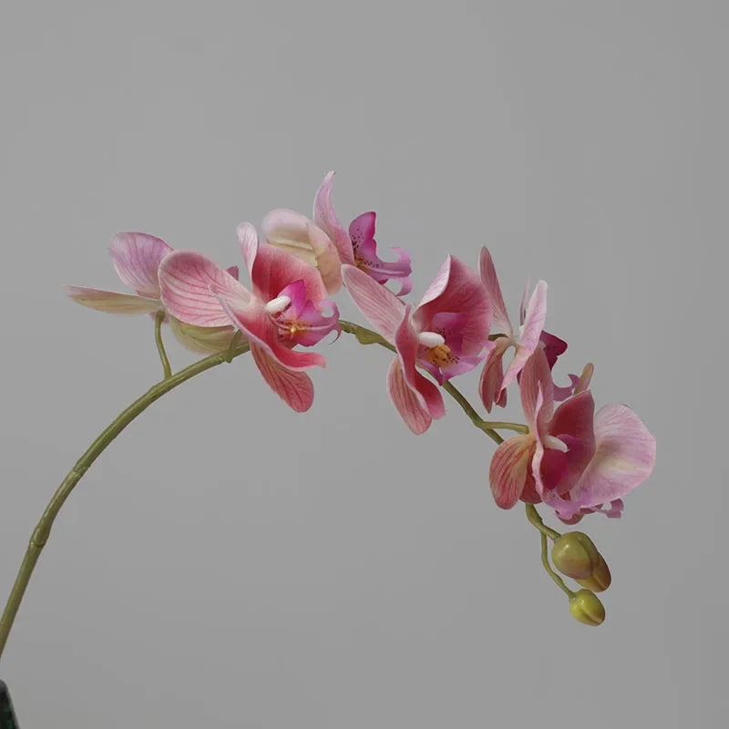 Orquídeas de látex artificial Phalaenopsis, decoração floral, ornamentos de borboleta realistas, guia de casamento, 6 pcs